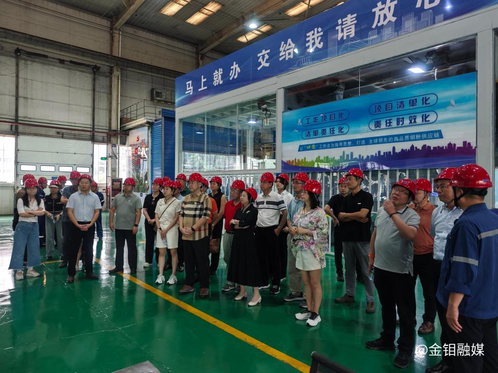20250715-西安市人民政府驻深圳办事处组织深圳企业家代表团来公司考察交流 (3).jpg