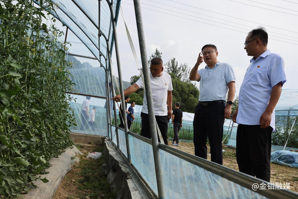 20250721-张保生赴定点帮扶村开展慰问调研 推动乡村产业提质增效 (2).JPG