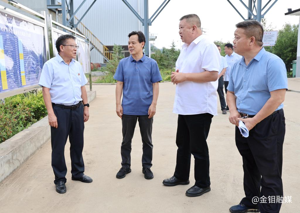 20250711-赵红艺到金钼汝阳调研防汛工作照片 (2).jpg