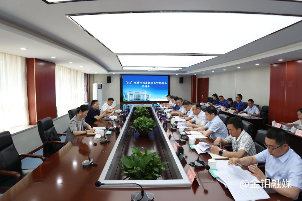 20250520-“345”党建作用发挥体系听取意见会 (2).JPG