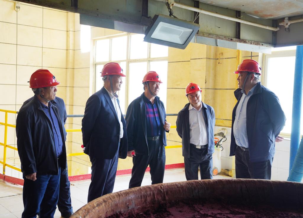 20250409-陕西有色金属集团外部董事一行到五洲矿业公司调研 (1).jpg