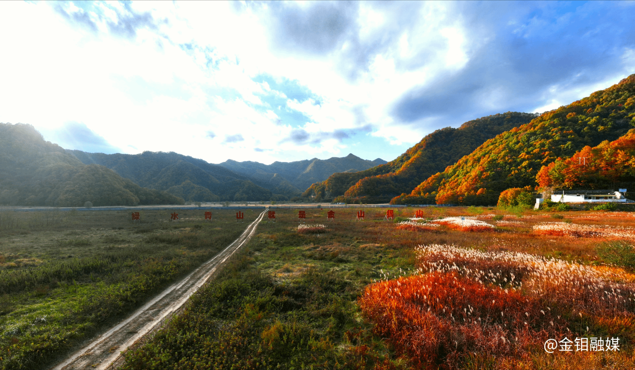 20251226-金钼集团:木子沟尾矿库闭库顺利销号 为陕西矿山治理交出高分答卷 (2)(1).png