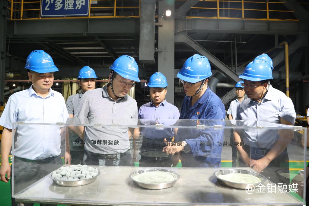 20240710-自然资源部矿业权管理司调研组一行来公司调研 (16).JPG