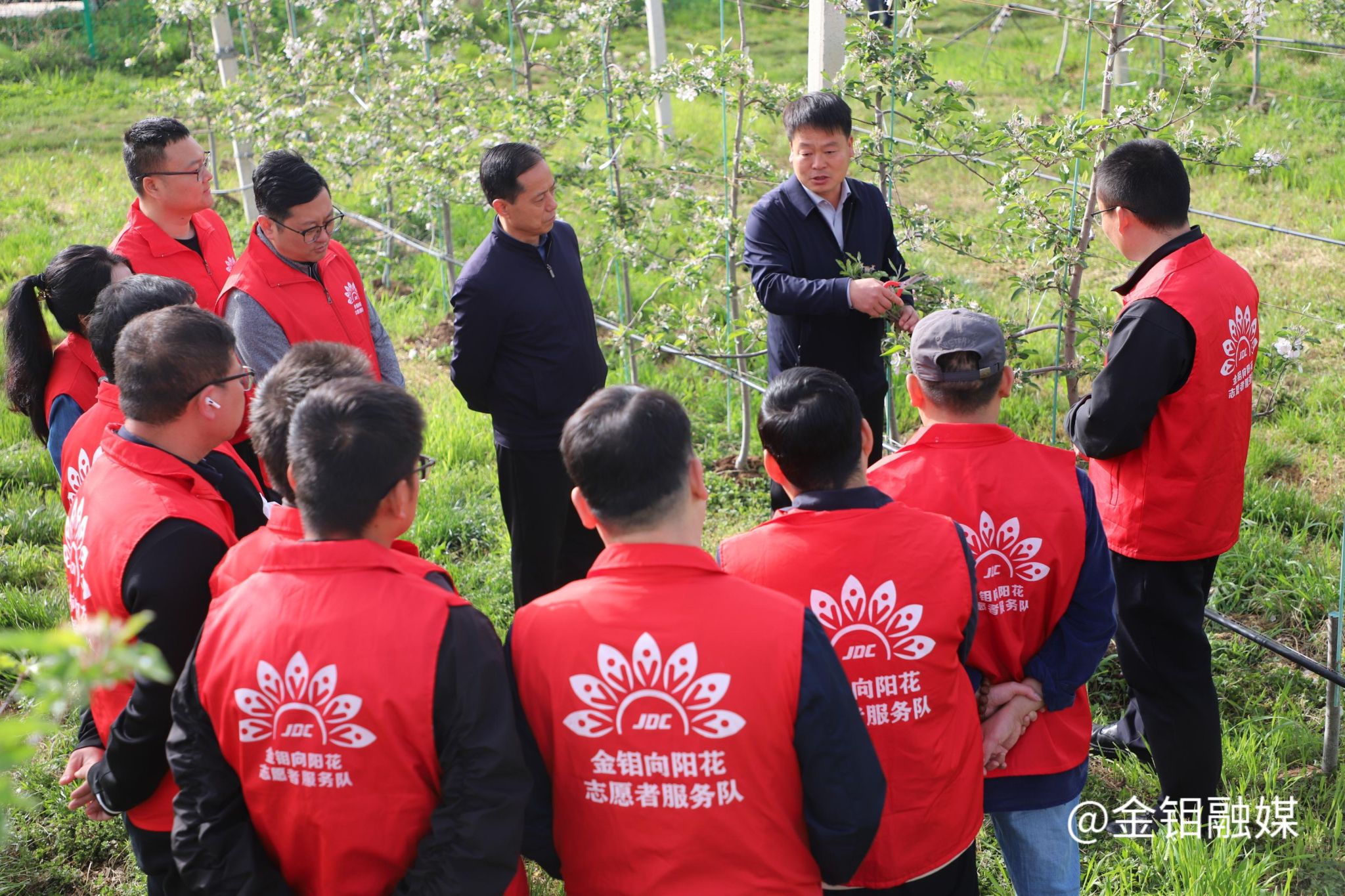 20260424-志愿者千阳服务 (1).jpg